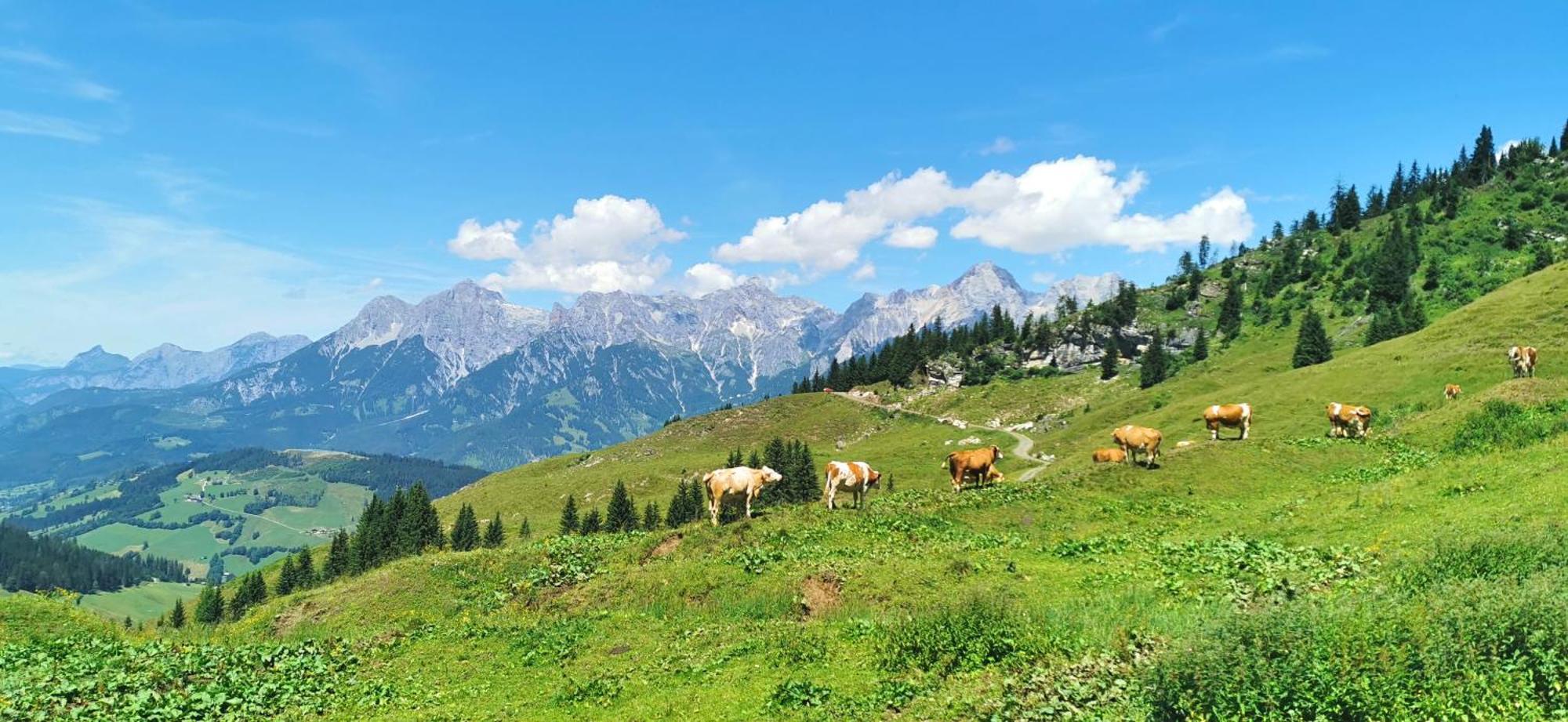 Maria Alm - Komfortables Apartment Gipfelglueck Saalfelden Buitenkant foto